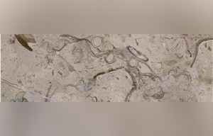 Piedra Escobedo