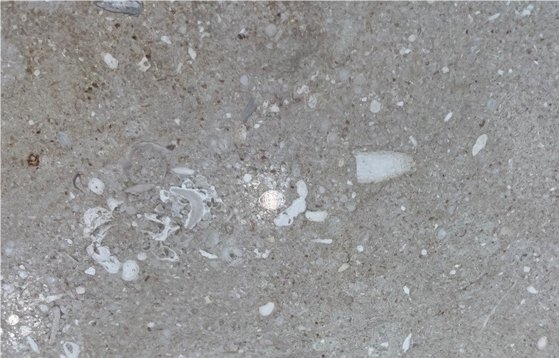 Pietra Di Vicenza Grigio