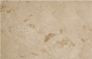 Plato Cream Medium Shell