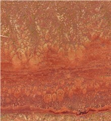 Red Gerberia Travertine