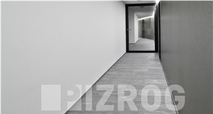 Rhein Quartzite