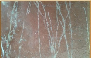 Rosa Coral Marble