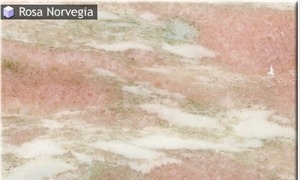 Rosa Norvegia Marble
