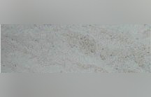 Rosal Cgf