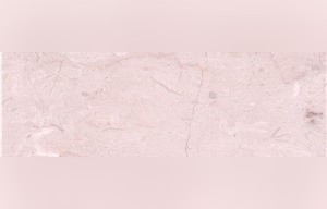Royal Cream
