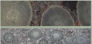 Ruskiavuori Orbicular Granite