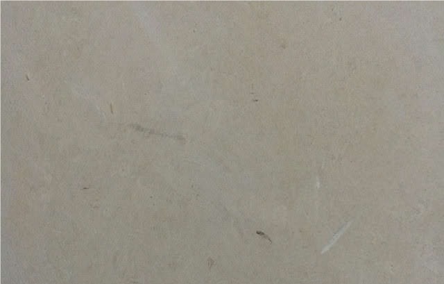 Ruwaished Limestone