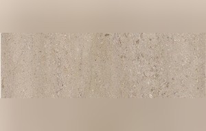 Safari Sandwave Beige
