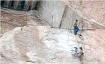 Sahara Golden Granite