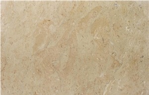 Sahara Somon Limestone