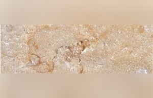 Sakkara Yellow