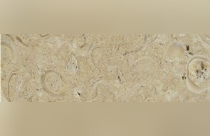 Santafiora Ostrea