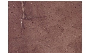 Santo Tomas Lila Marble