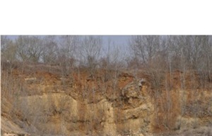 Savonnieres Limestone