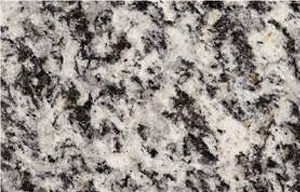 Serizzo Antigorio Granite