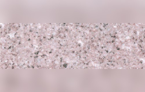 Shangyu Silver Flower