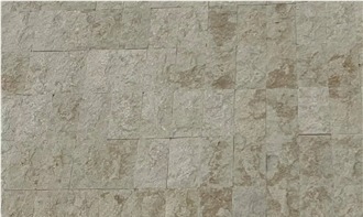 Shell Beige Limestone