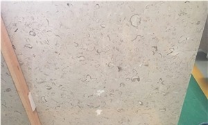 Shell Beige Marble