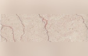 Shell Beige