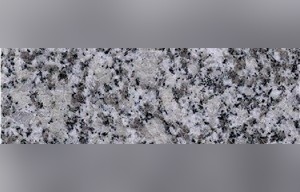 Shell Gray