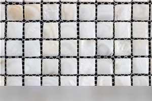 Shell White Marble