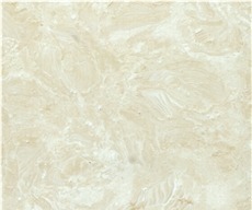 Shells Reef Beige Limestone