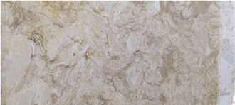 Shells Reef Beige Limestone