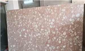 Shells Reef Pink Limestone