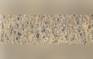 Silber Gneiss