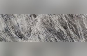Silver Fox