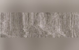 Silver Royal