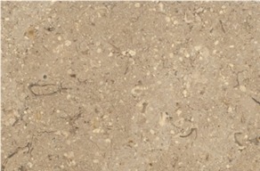 Sinai Pearl Limestone