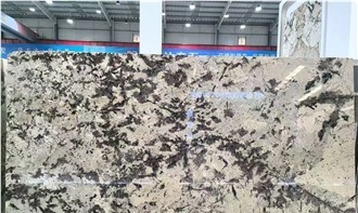 Splendor White Granite