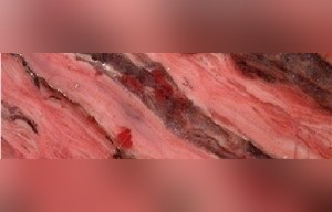 Stromatolite Calcarenite
