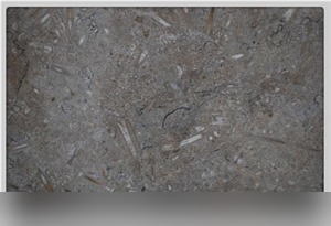 Swaledale Fossil Grey
