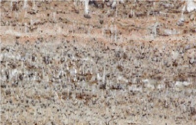 Syrian Pink Travertine