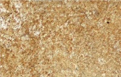 Syrian Sandstone