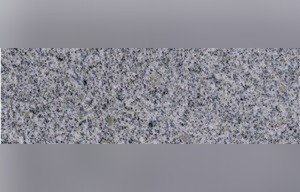 Taishan Silver Sesame