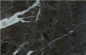 Tamara Black