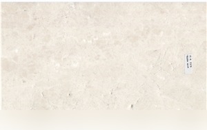 Terra Nova Marble