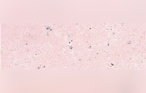 Texastone Pink