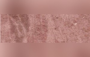 Tezontle Rojo Andesite