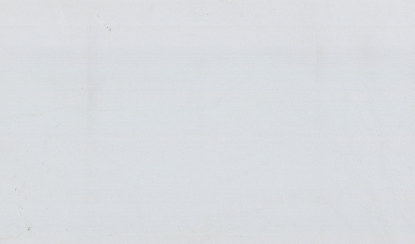 Thassos Pure White