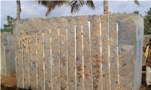 Tiger Black Granite