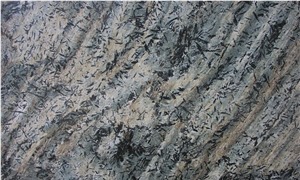 Tiger Crowsfoot Schist