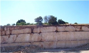 Tobza Yellow Limestone
