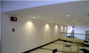 Toros Beige Marble