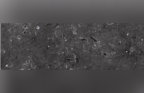 Tournai Stone