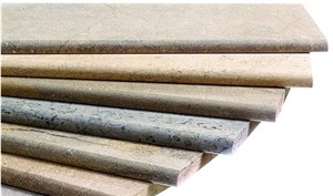 Transylvania Coral Limestone