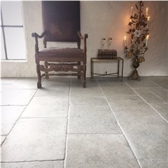 Transylvania Coral Limestone